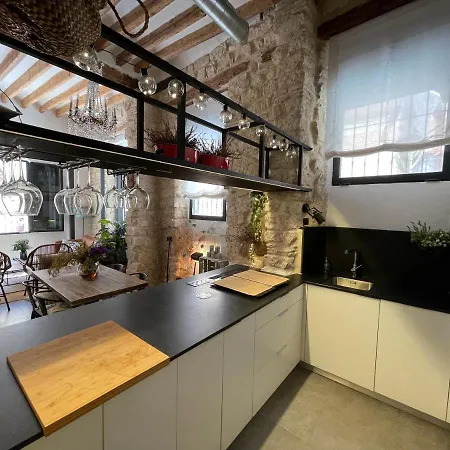 Amazing Loft By The Alicante